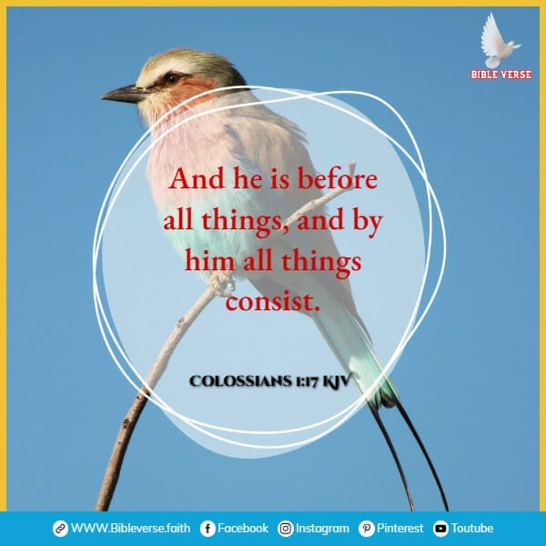 colossians 1 17 kjv bible verses about the sparrow