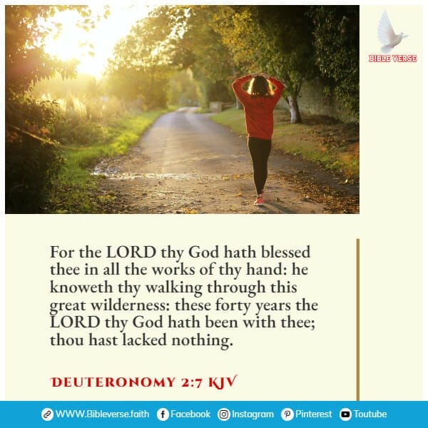 deuteronomy 2 7 kjv bible verse on success