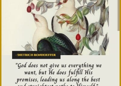 dietrich bonhoeffer inspirational christian quotes about life