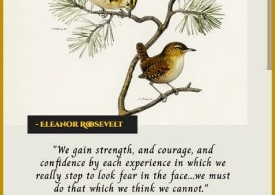 eleanor roosevelt inspirational christian quotes about life