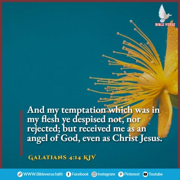 galatians 4 14 kjv bible verses about temptation
