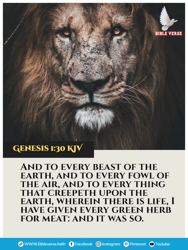 genesis 1 30 kjv animals in the bible verses