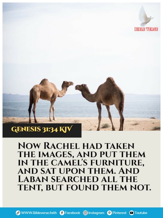 genesis 31 34 kjv animals in the bible verses