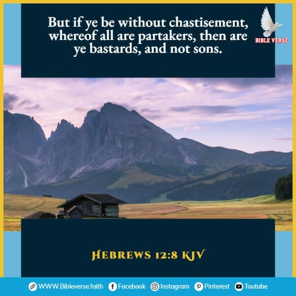 hebrews 12 8 kjv bible verses about discipline