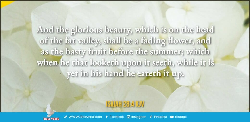 isaiah 28 4 kjv bible verses about flowers