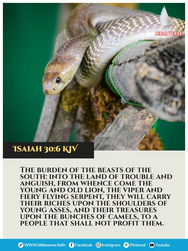 isaiah 30 6 kjv animals in the bible verses