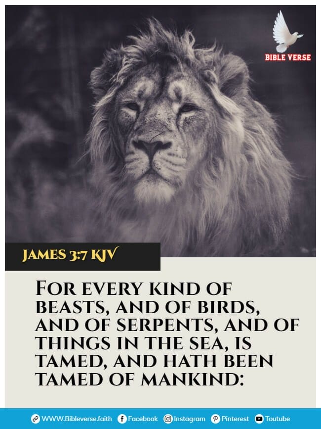 james 3 7 kjv animals in the bible verses