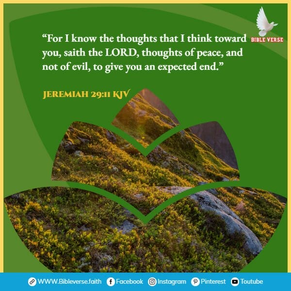jeremiah 29 11 kjv bible verses about hope in hard times