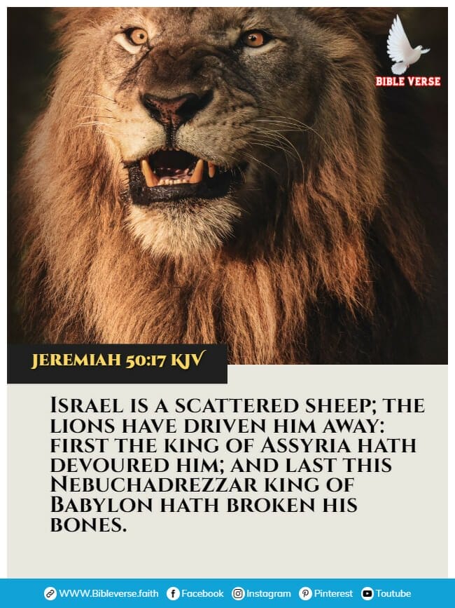 jeremiah 50 17 kjv animals in the bible verses