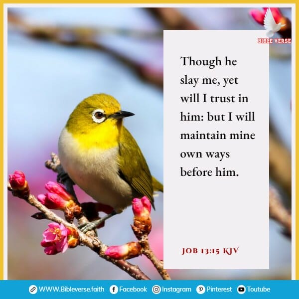 job 13 15 kjv bible verses about sparrow