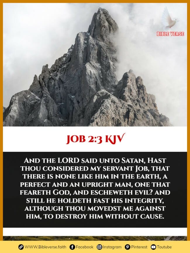 job 2 3 kjv bible verses about integrity