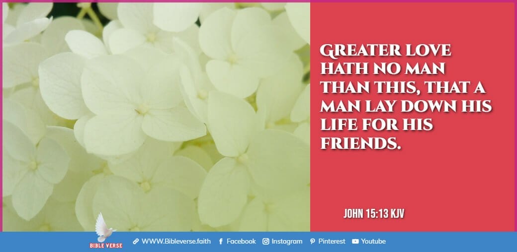 john 15 13 kjv best verse in the bible about friendships