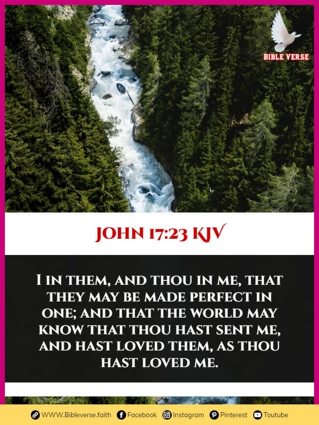 john 17 23 kjv bible verses for fellowship