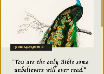 john macarthur inspirational christian quotes about life