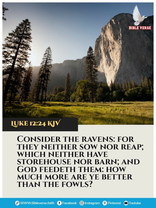 luke 12 24 kjv animals in the bible verses