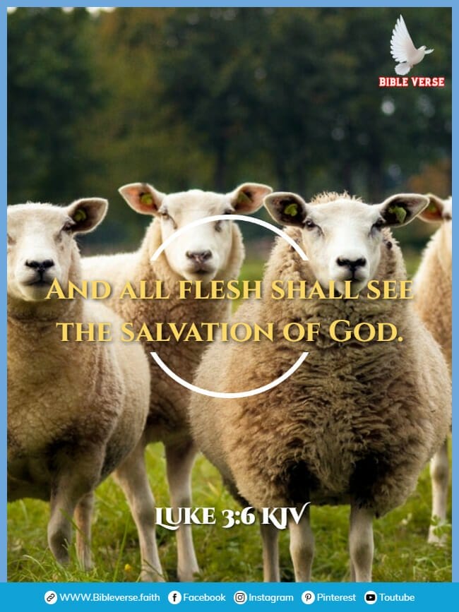 luke 3 6 kjv animals in the bible verses