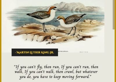 martin luther king jr inspirational christian quotes about life