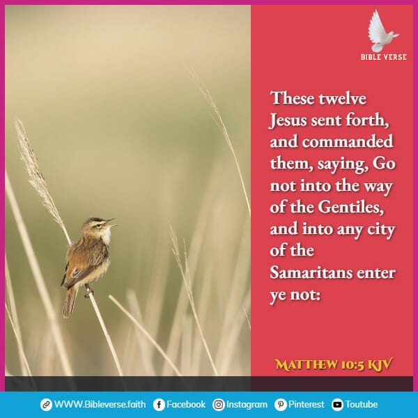 matthew 10 5 kjv bible verses about the sparrow