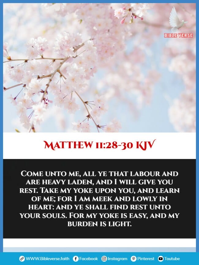 matthew 11 28 30 kjv bible verses about letting go