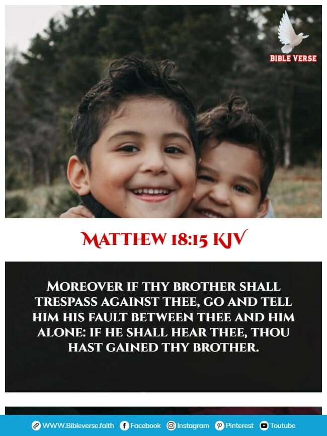 matthew 18 15 kjv bible verses about brothers
