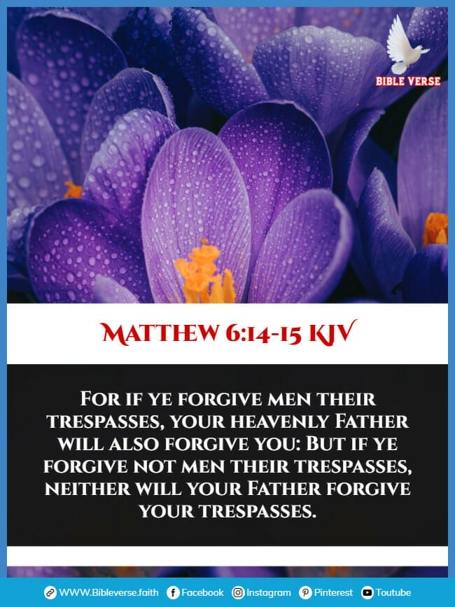 matthew 6 14 15 kjv bible verses about letting go