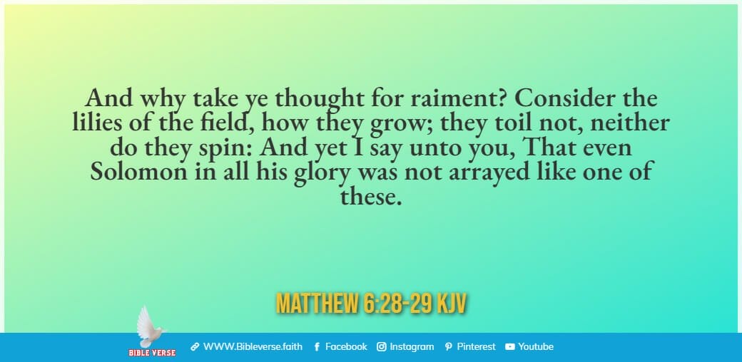 matthew 6 28 29 kjv bible verses about flowers