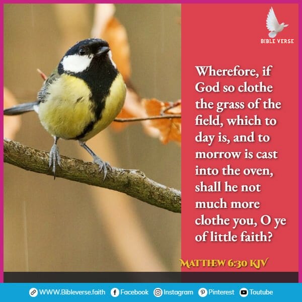 matthew 6 30 kjv bible verses about the sparrow