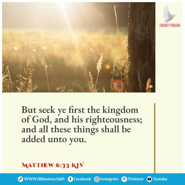 matthew 6 33 kjv bible verse on success
