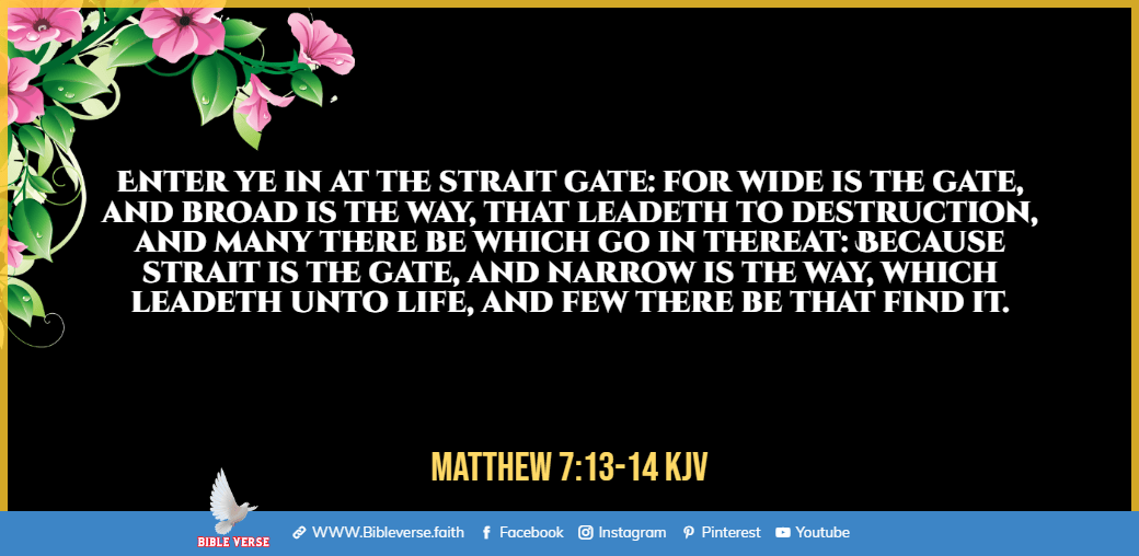 matthew 7 13 14 kjv eternal life in the bible