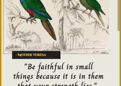 mother teresa inspirational christian quotes about life