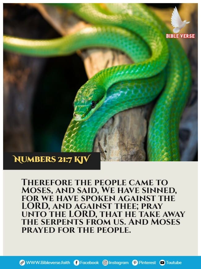 numbers 21 7 kjv animals in the bible verses