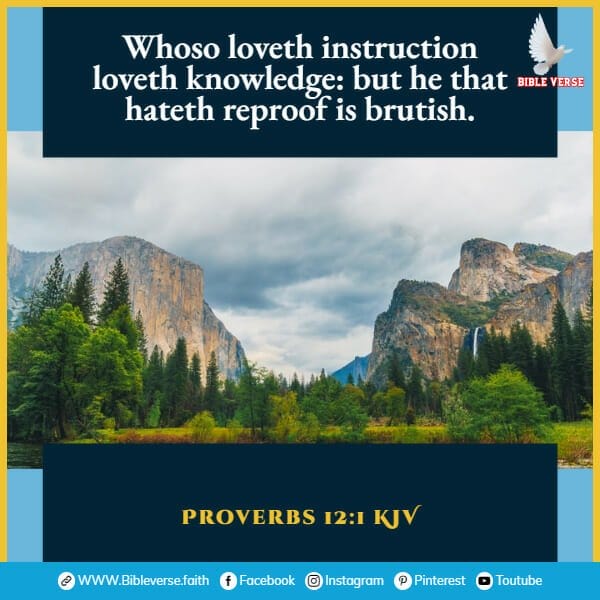 proverbs 12 1 kjv bible verses about discipline