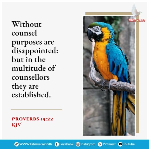proverbs 15 22 kjv scriptures for purpose