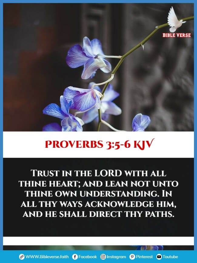 proverbs 3 5 6 kjv bible verses about letting go