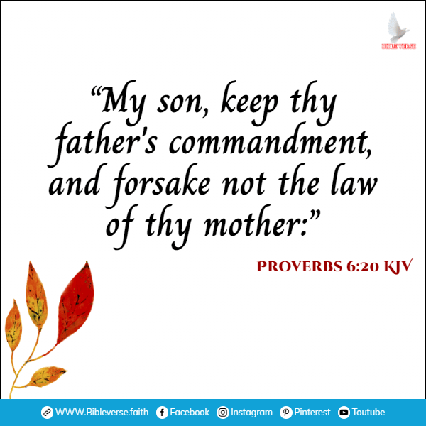 proverbs 6 20 kjv bible versea about family