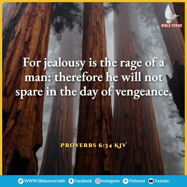 proverbs 6 34 kjv bible verses for jealousy