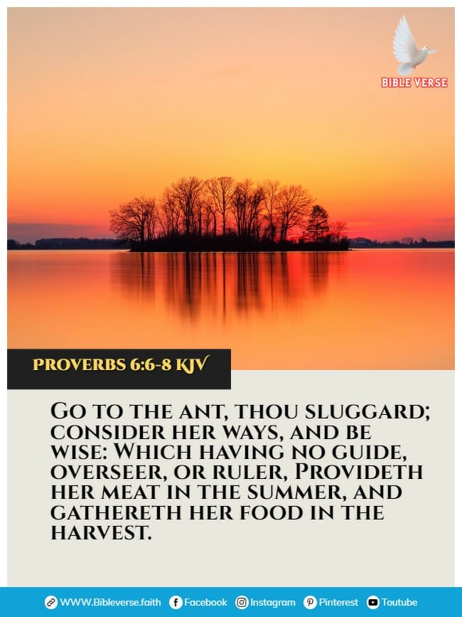 proverbs 6 6 8 kjv animals in the bible verses