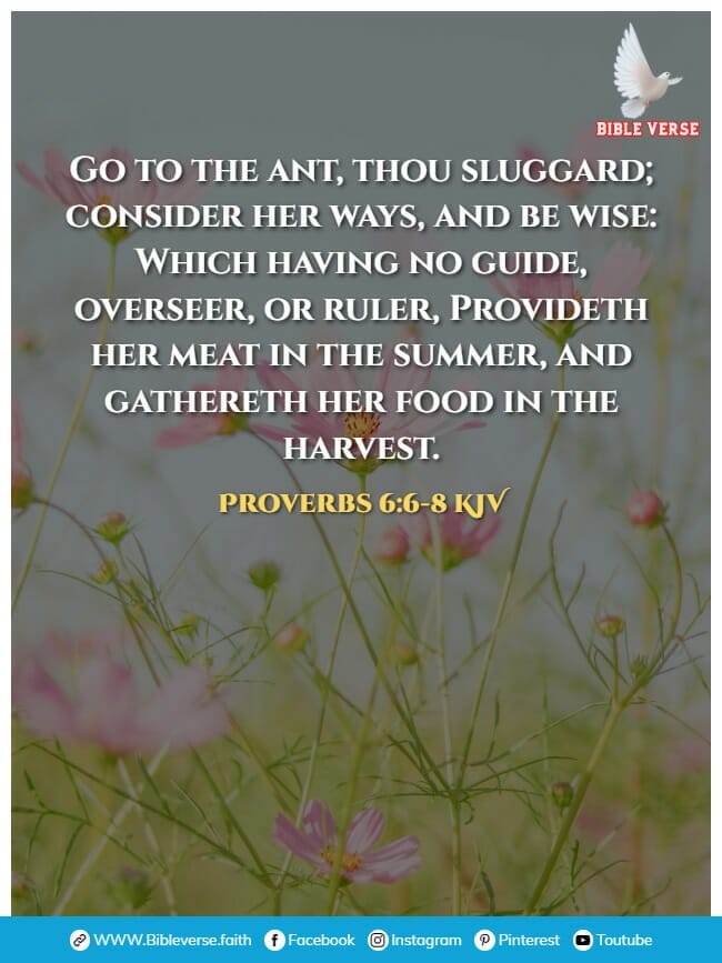 proverbs 6 6 8 kjv bible verses about time