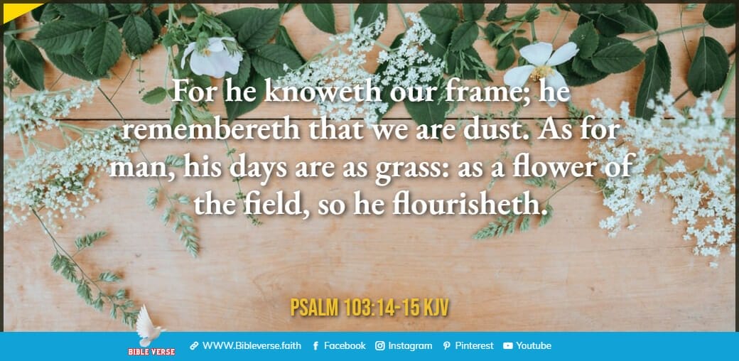 psalm 103 14 15 kjv bible verses about flowers