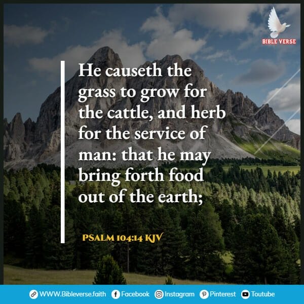 psalm 104 14 kjv bible verses about nature