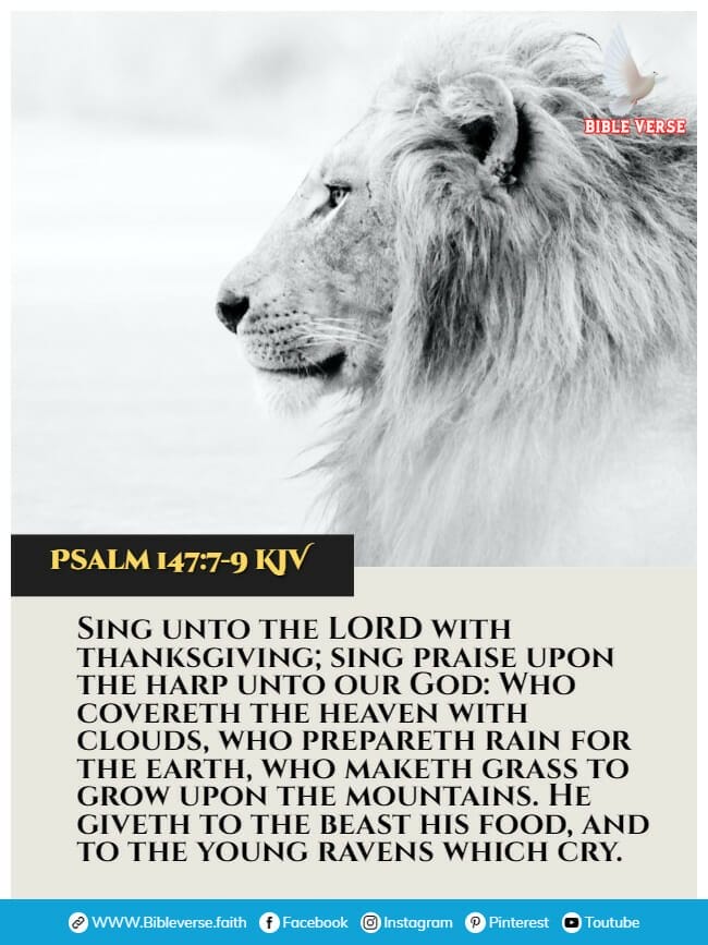 psalm 147 7 9 kjv animals in the bible verses