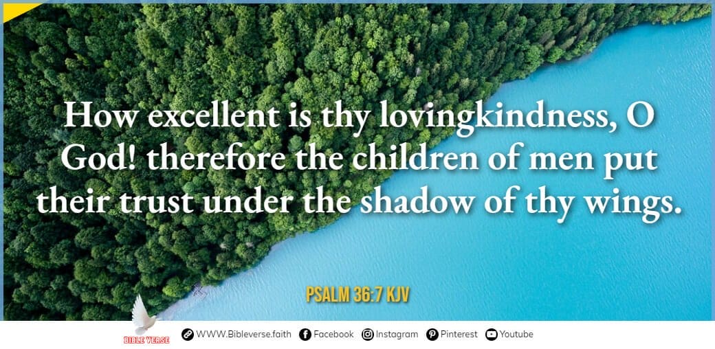 psalm 36 7 kjv bible verses on loving yourself