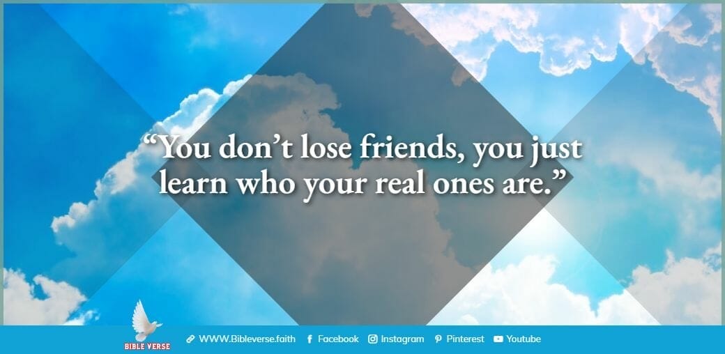 quotes about friendship (11)