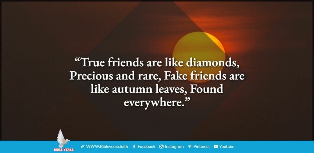 quotes about friendship (14)