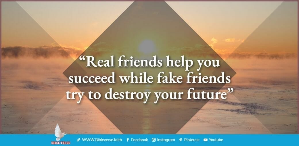 quotes about friendship (16)