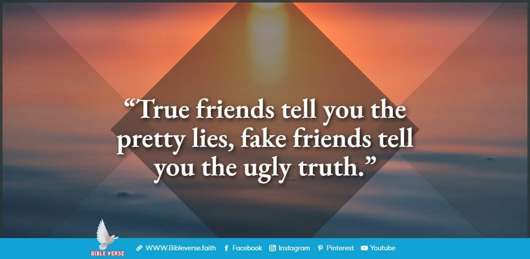 quotes about friendship (17)