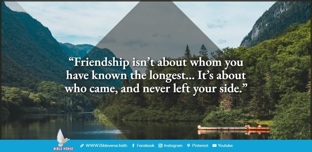 quotes about friendship (42)