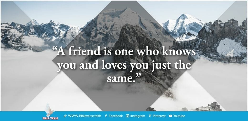 quotes about friendship (43)