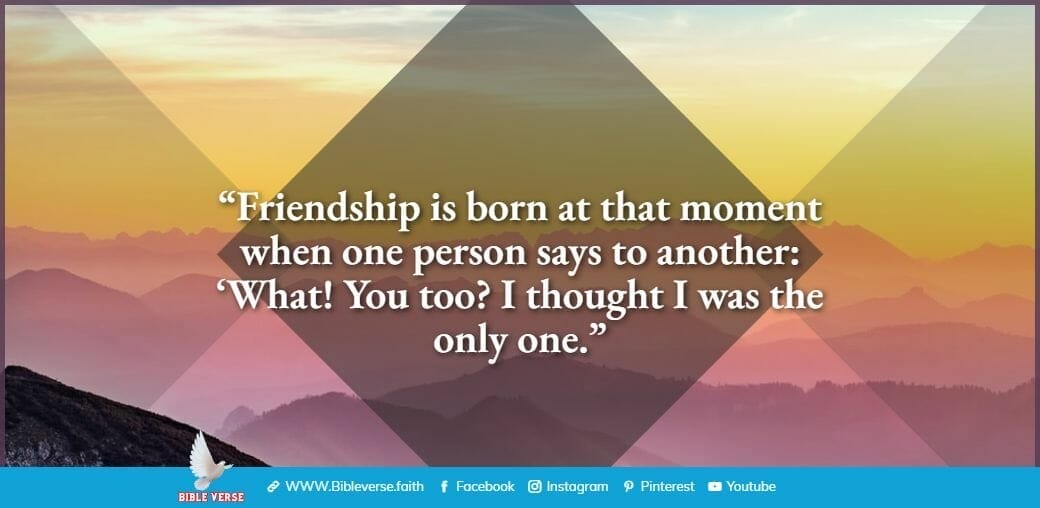 quotes about friendship (44)