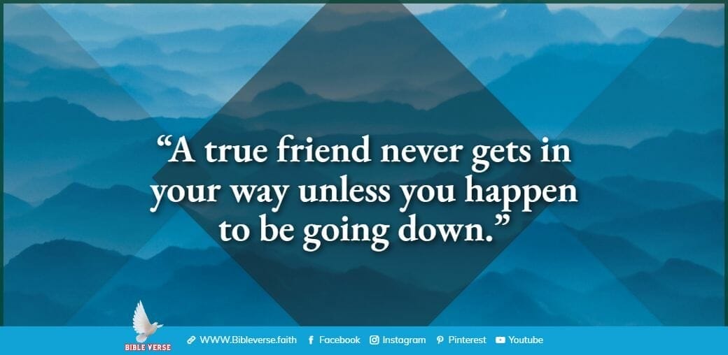 quotes about friendship (47)